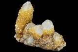 Sunshine Cactus Quartz Crystal Cluster - South Africa #115165-1